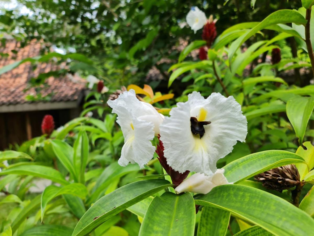 Villa Kayu Yogyakarta Exterior foto